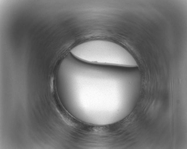 X0000067880070200604131051