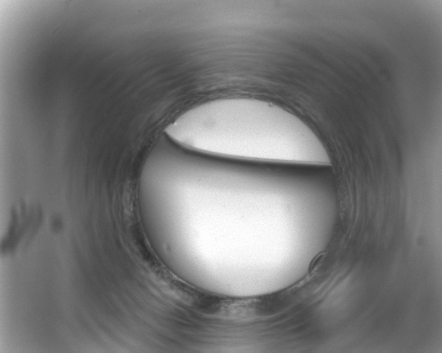 X0000067880078200604131051