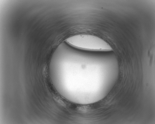 X0000067880079200604131051