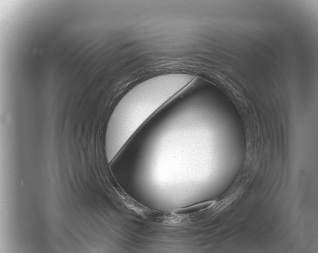 X0000067880096200604131052
