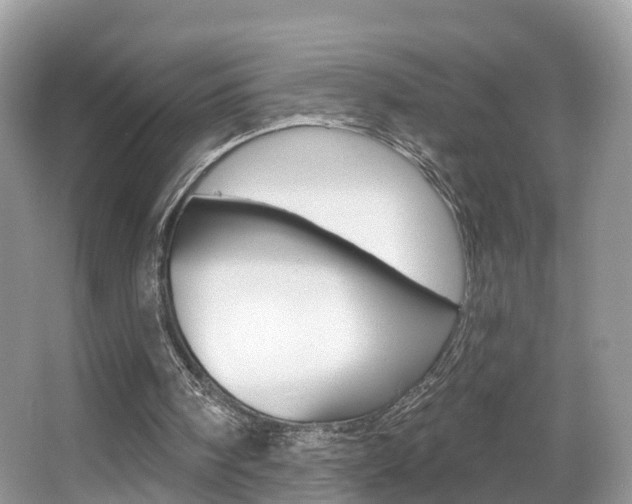 X0000067880098200604131051