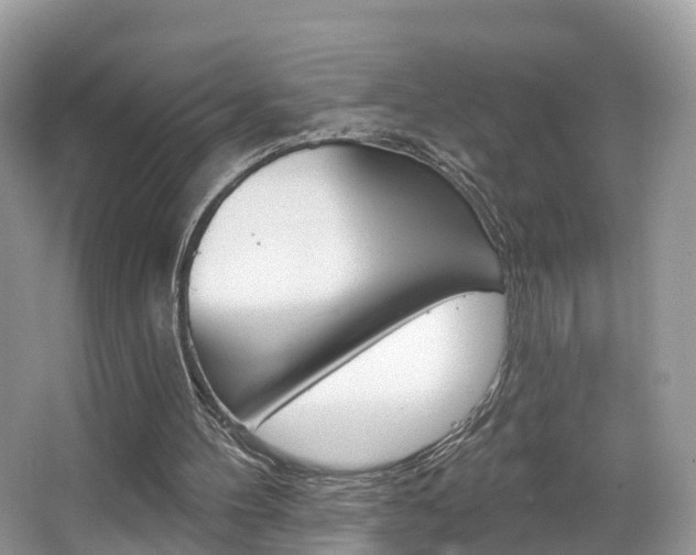 X0000067880100200604131051