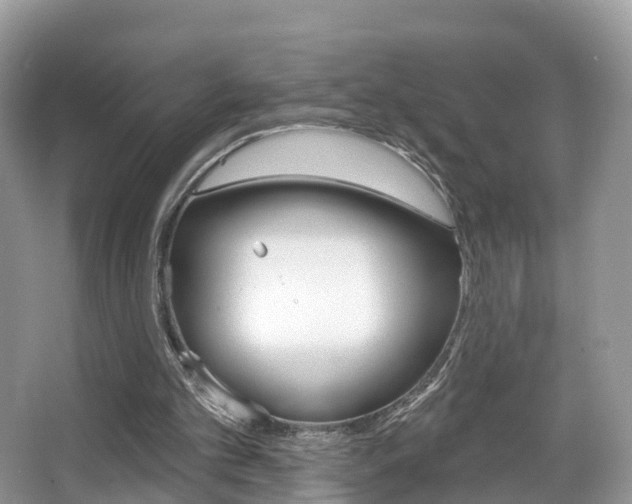 X0000067880101200604131051