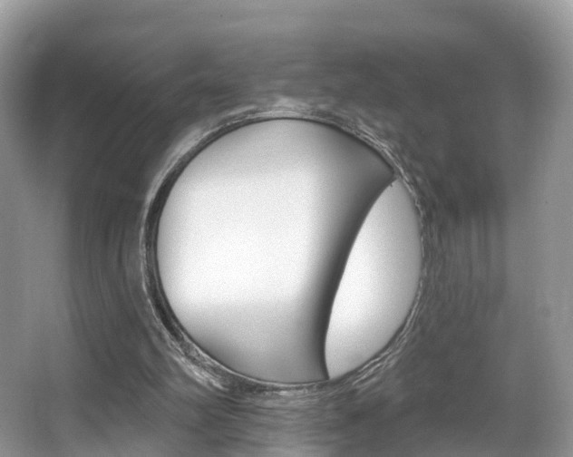 X0000067880102200604131051