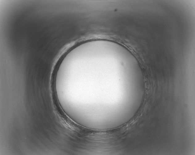 X0000067880104200604131051