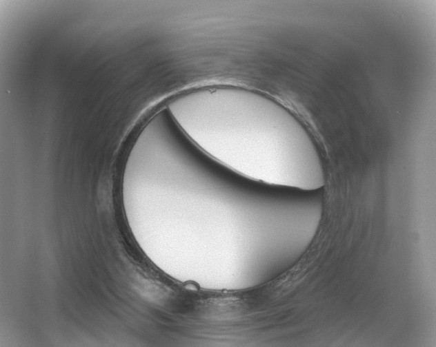 X0000067880108200604131051