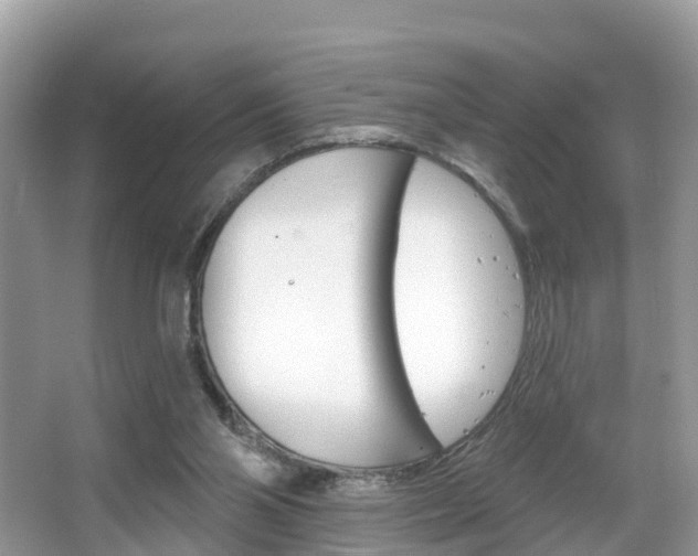 X0000067880110200604131051