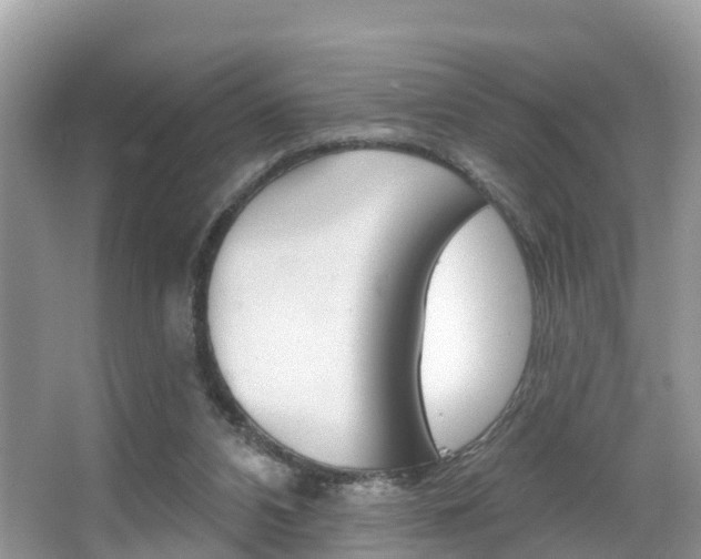 X0000067880112200604131051