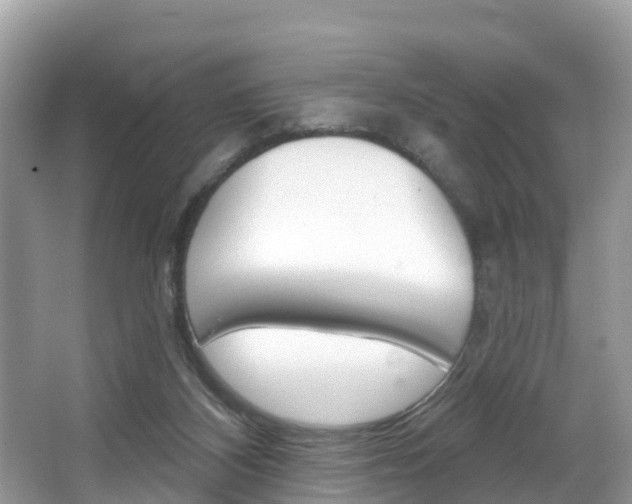 X0000067880116200604131051