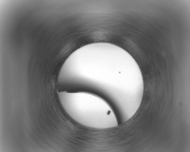 X0000067880124200604131051