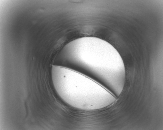 X0000067880128200604131050