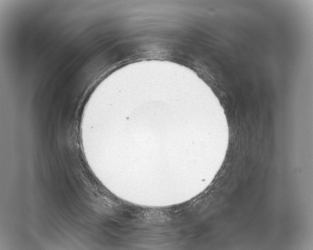 X0000067880146200604131049