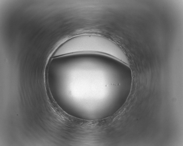 X0000067880148200604131049
