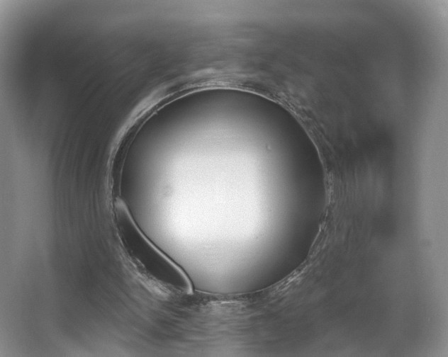 X0000067880150200604131049