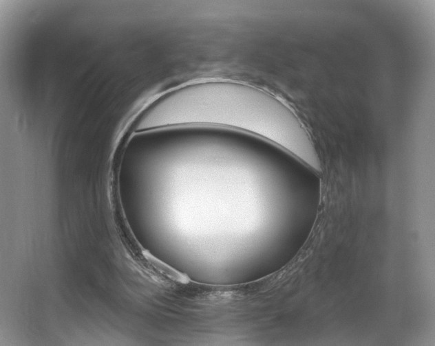 X0000067880152200604131049