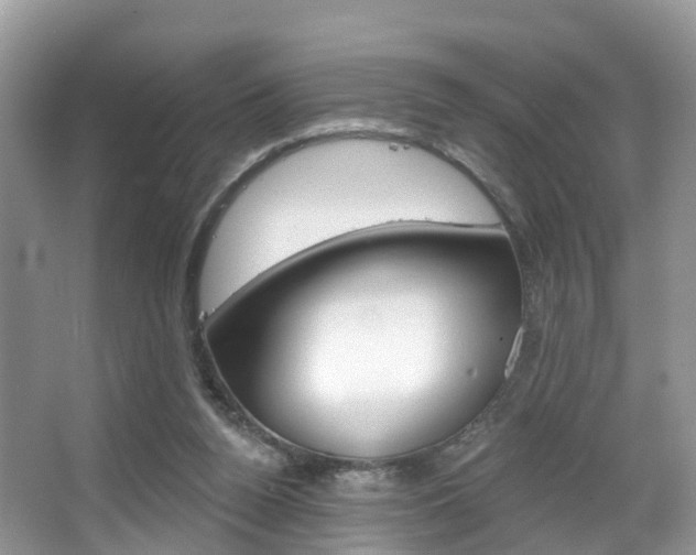 X0000067880160200604131050