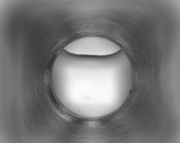 X0000067880165200604131050