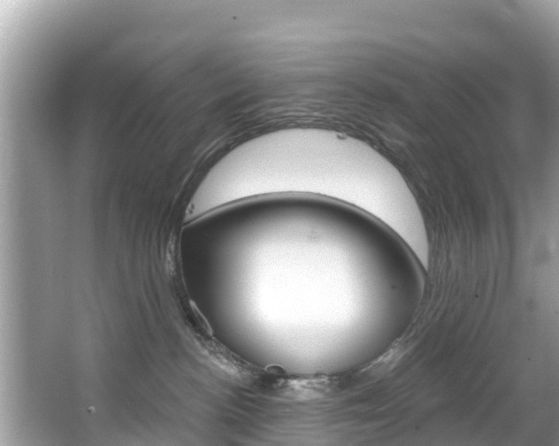 X0000067880188200604131050