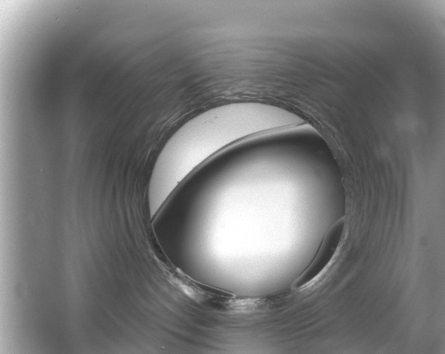 X0000067880192200604131050