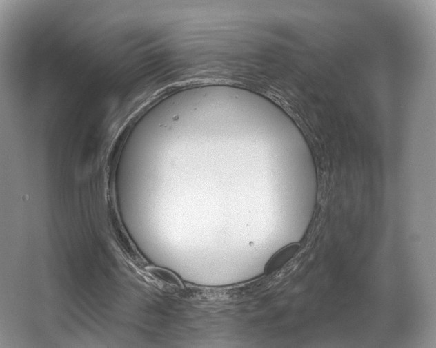 X0000067880194200604131049