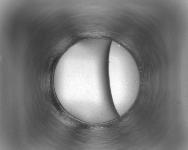 X0000067880206200604131049