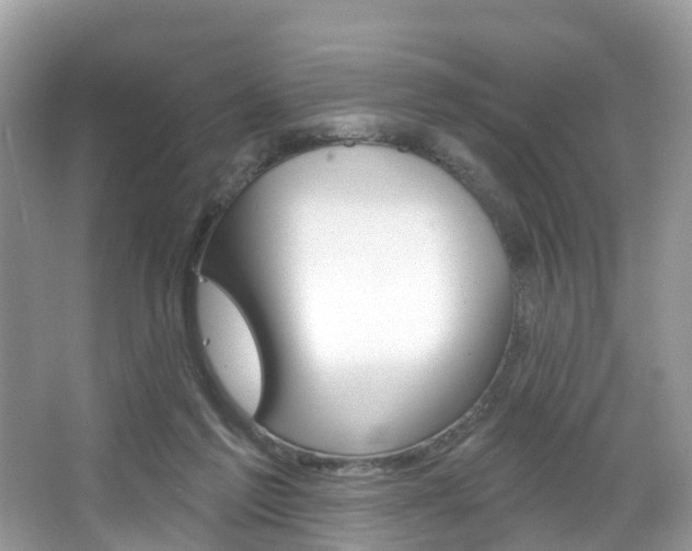 X0000067880213200604131049