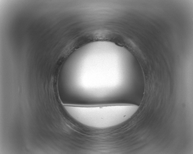 X0000067880217200604131049