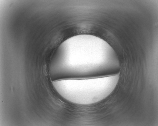 X0000067880224200604131049