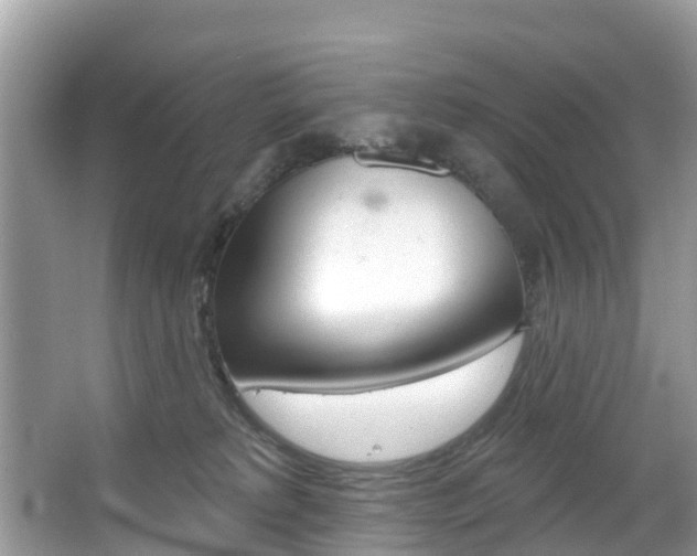 X0000067880229200604131049