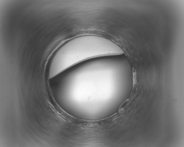X0000067880243200604131048