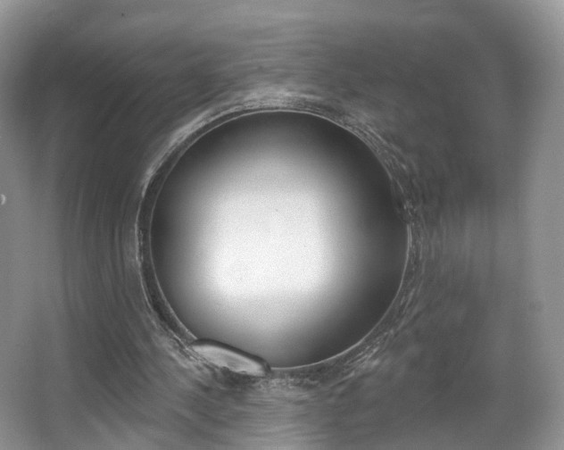 X0000067880244200604131048