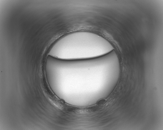 X0000067880250200604131048