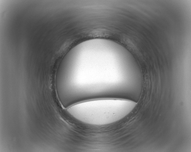 X0000067880255200604131048