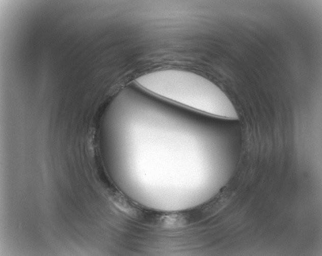 X0000067880275200604131048
