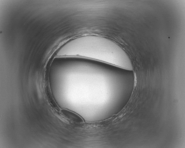 X0000067880291200604131048