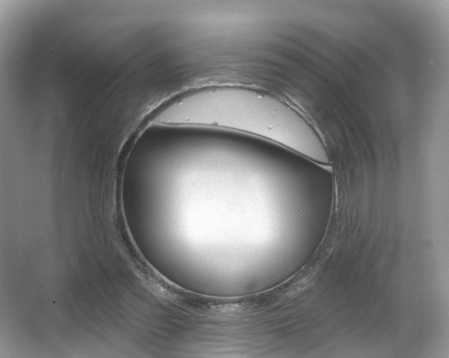 X0000067880301200604131048