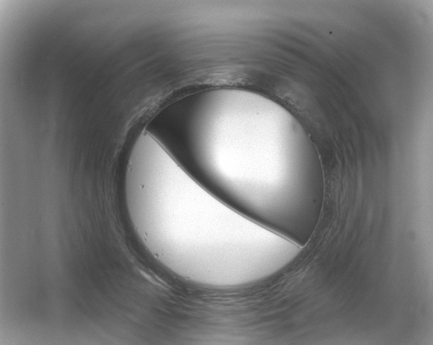 X0000067880303200604131047