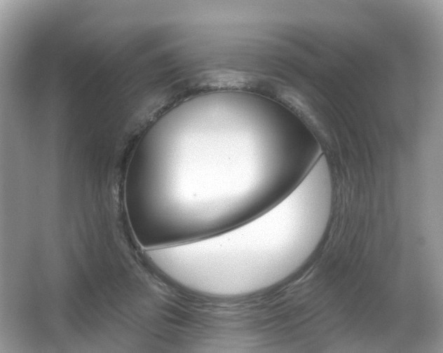 X0000067880309200604131047