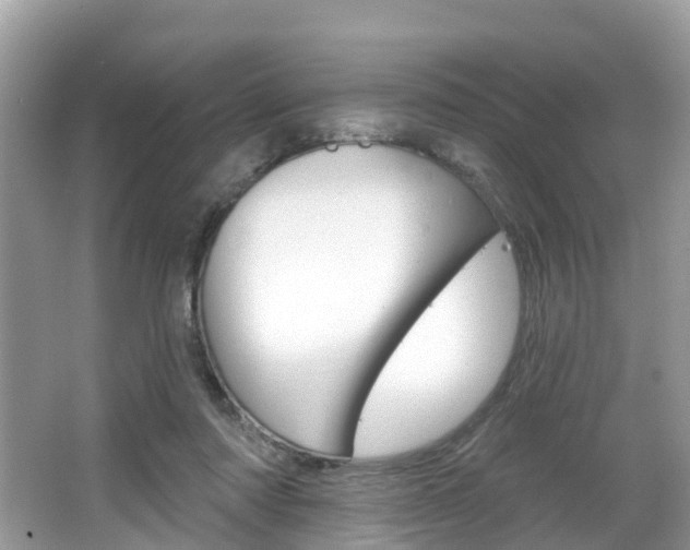X0000067880310200604131047