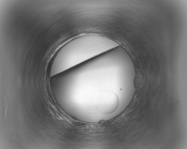 X0000067880338200604131046
