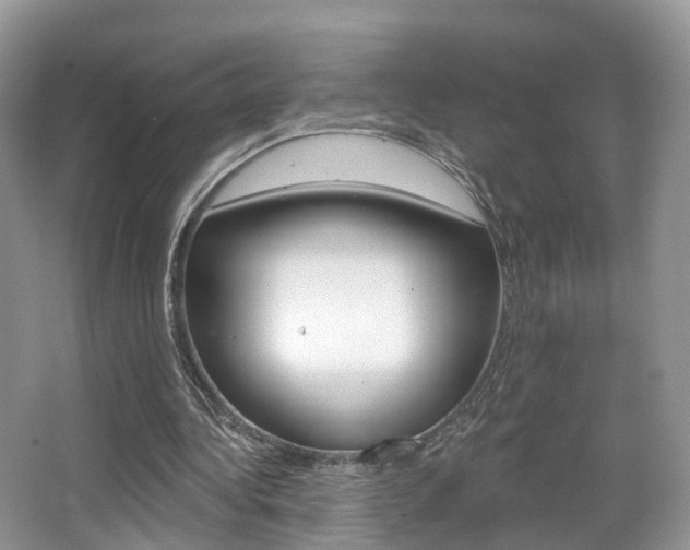 X0000067880340200604131046