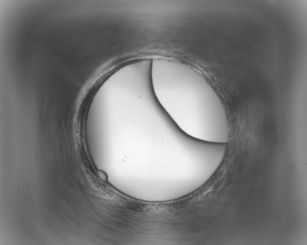 X0000067880343200604131046