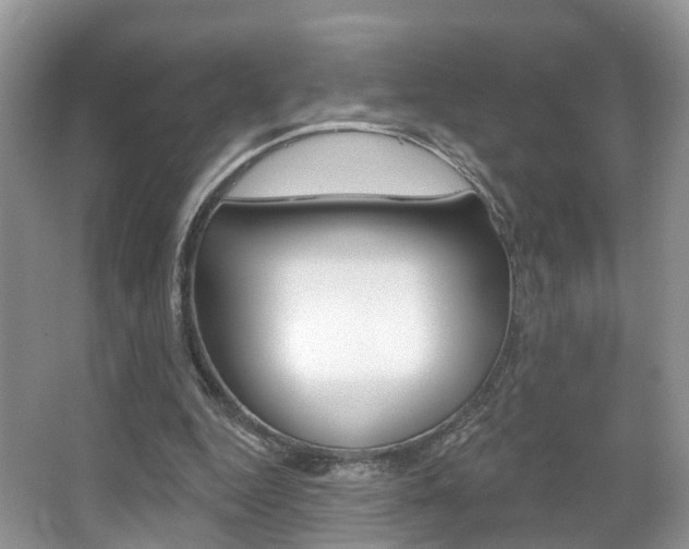 X0000067880344200604131046