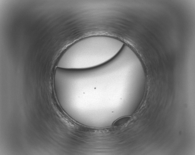 X0000067880345200604131046