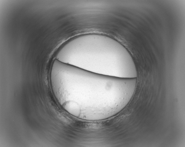 X0000067880347200604131046