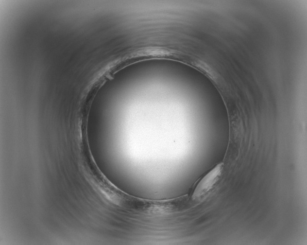 X0000067880350200604131046