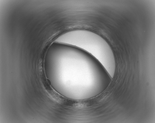 X0000067880356200604131046