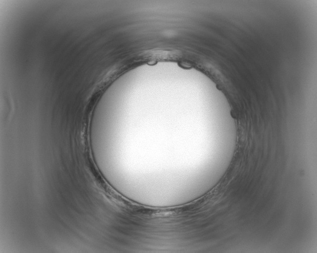 X0000067880357200604131046