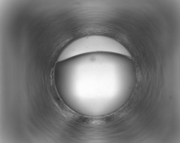X0000067880360200604131047