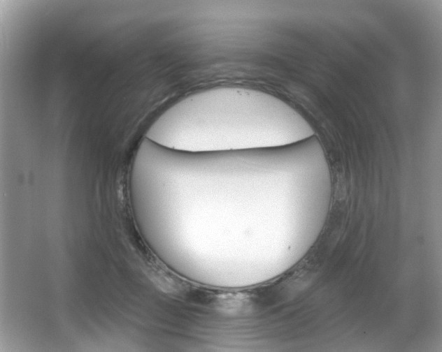 X0000067880363200604131047